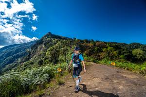 BIB: 
                            <button type="button" onclick="openModal(19037167)" class="btn btn-primary btn-sm float-right btn-popup" data-toggle="modal" data-target=".modal-high-quality">
                        <i class="fas fa-shopping-cart"></i> Add to Cart
                    </button>
                                            <button type="button" onclick="isThisMe(19037167, true)" class="btn btn-success btn-sm float-right btn-popup btn-isme hidden" data-toggle="tooltip" data-placement="bottom" title="นี่คือรูปของคุณใช่ไหม คลิกที่นี่เพื่อเอาเข้าอัลบั้ม">
                        <i class="fas fa-plus"></i> Add to album
                    </button>
                    <button type="button" onclick="isThisMe(19037167, false)" class="btn btn-warning btn-sm float-right btn-popup btn-isnotme hidden">
                        <i class="fas fa-ban"></i> Remove from album
                    </button>